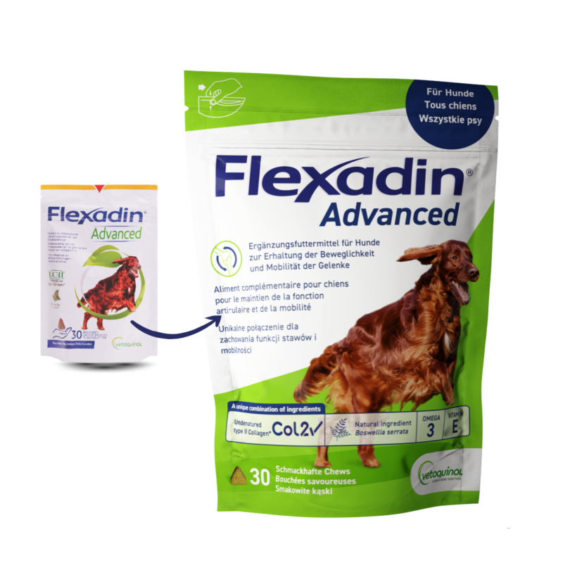 FLEXADIN ADVANCED DOG PRZYSMAK (OP. 30SZT)