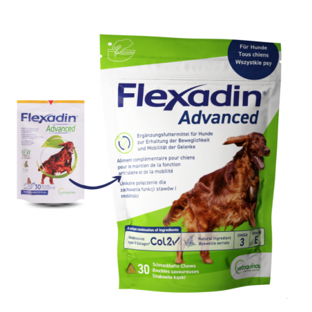 FLEXADIN ADVANCED DOG PRZYSMAK (OP. 30SZT)