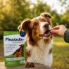 FLEXADIN ADVANCED DOG PRZYSMAK (OP. 30SZT)-9683