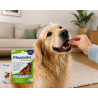 FLEXADIN ADVANCED DOG PRZYSMAK (OP. 60SZT)-9685