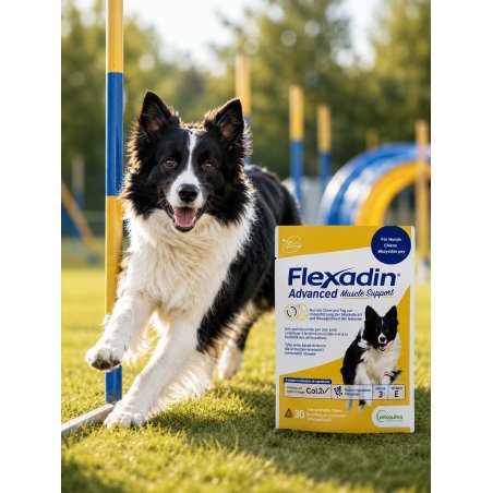 FLEXADIN ADVANCED MUSCLE SUPPORT DOG PRZYSMAK (OP. 30SZT)-9687