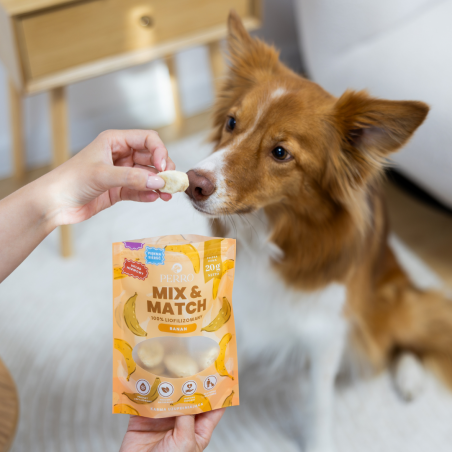 Banan – przysmaki liofilizowane 20 g-9844