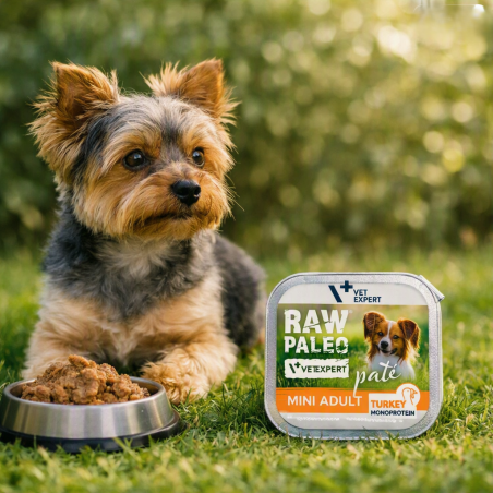 4T RAW PALEO DOG ADULT MINI TURKEY PATE TACKA 150 G-9883