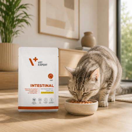 4T VETERINARY DIET CAT INTESTINAL TURKEY&CHICKEN 100 G SASZETKA-9923
