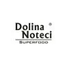 Dolina Noteci