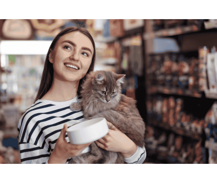 Jaka miska dla kota – obalamy mity i potwierdzamy fakty