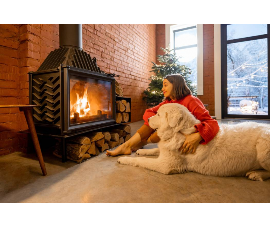 6 sposobów na bezstresowy sylwester z psem w domu