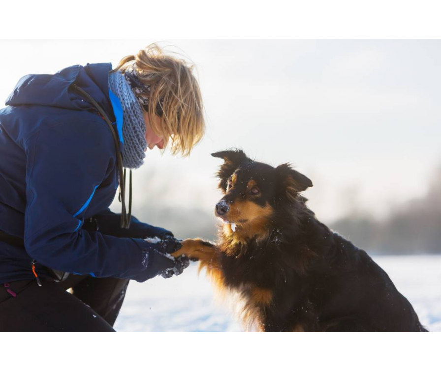 Czym smarować opuszki psa zimą? Kompletny poradnik