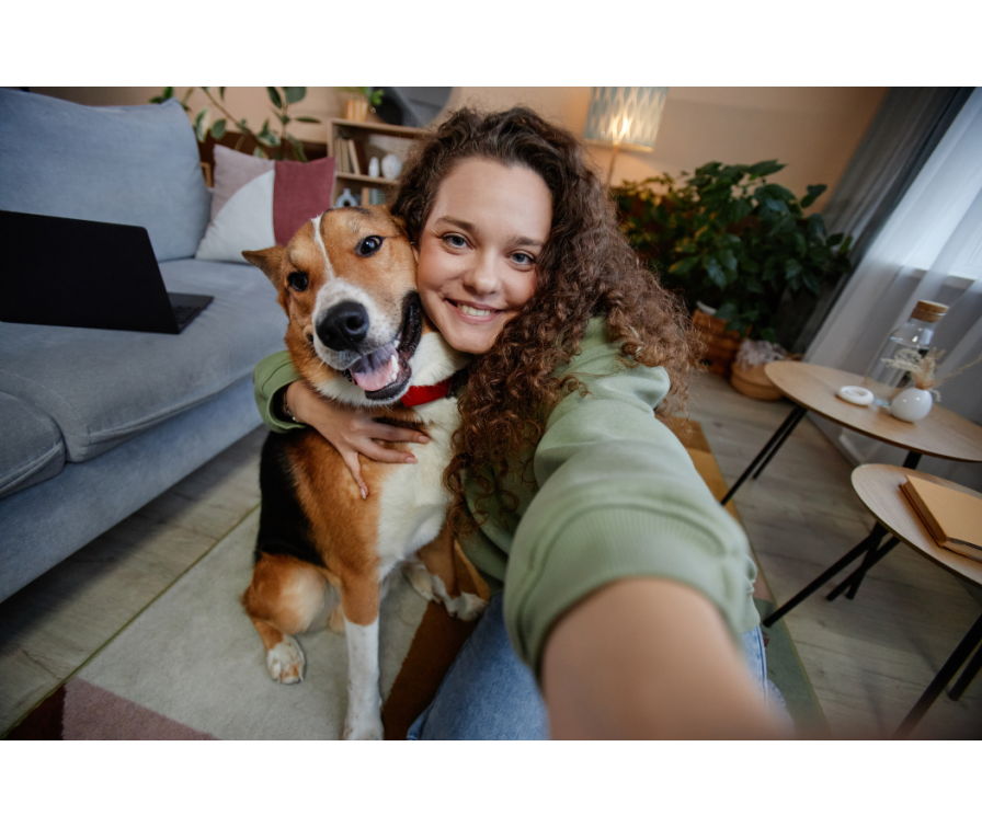 Dom tymczasowy dla psa – dowiedz się, co to jest i jak funkcjonuje