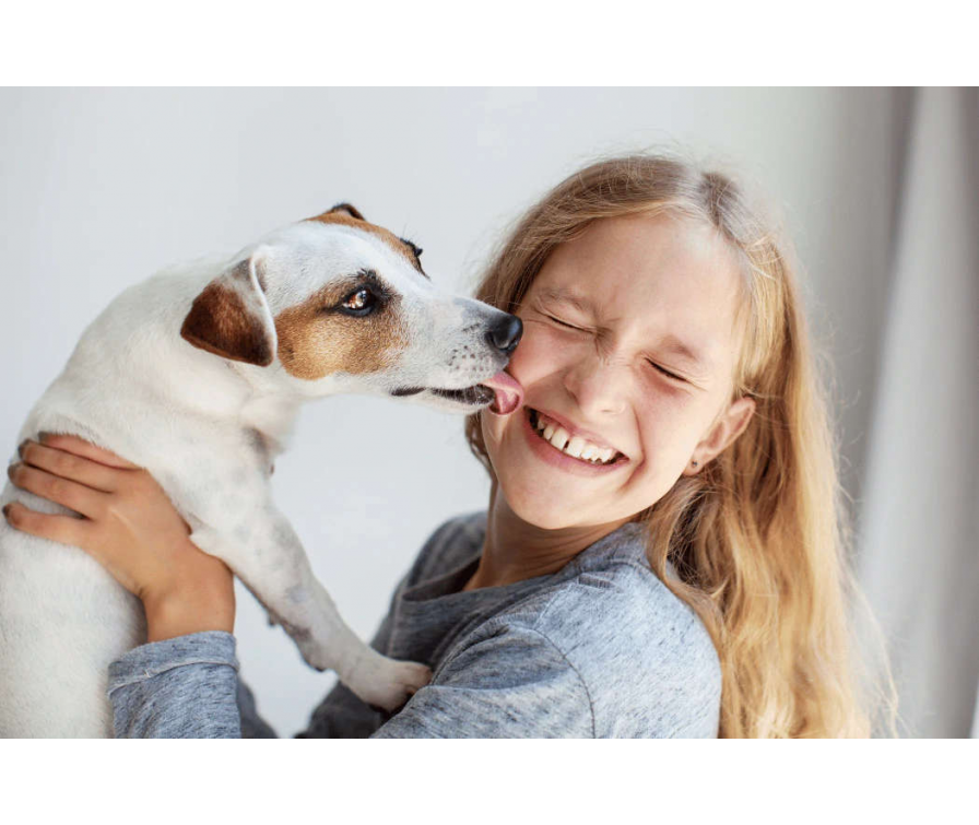 Dlaczego pies liże człowieka po twarzy i rękach? Wyjaśniamy