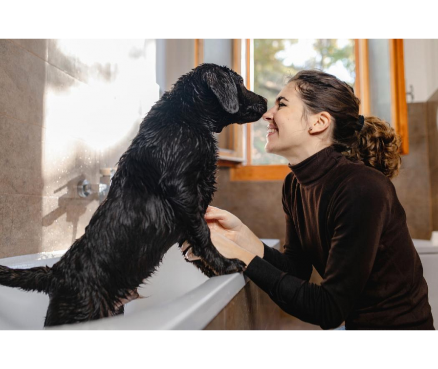 Kiedy kąpać szczeniaka?