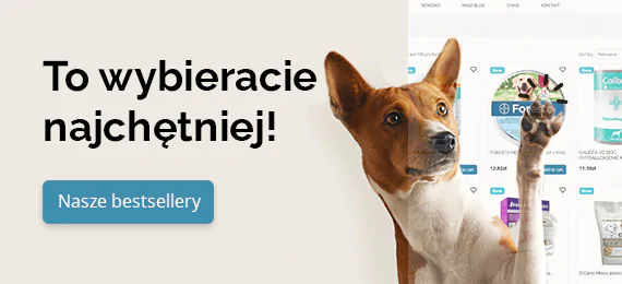 Pies dotyka łapką produktu w zoologicznym sklepie internetowym.