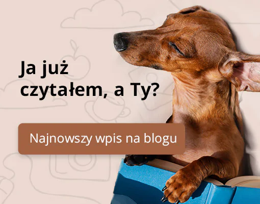 Jamnik leży z otwartą książką.